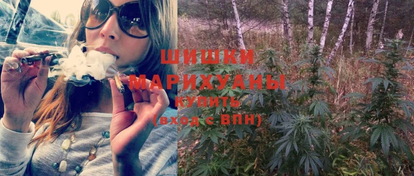 спайс Богданович