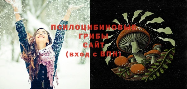 молекула духа Богородск