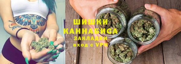 спайс Богданович