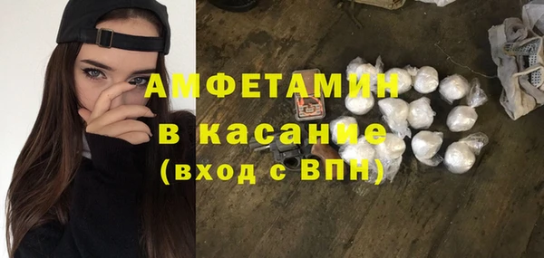 молекула духа Богородск