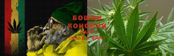 спайс Богданович